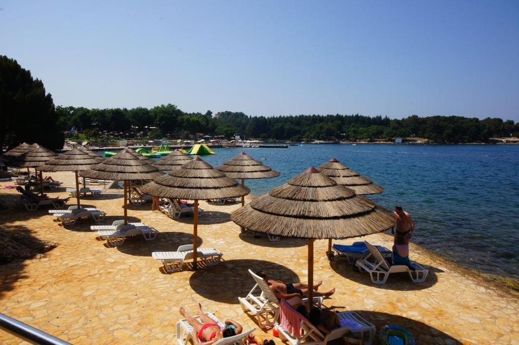 In With Terrace, Air Conditioning, Wifi, Washing Machine Apartment Poreč